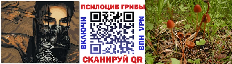 Псилоцибиновые грибы ЛСД  Стародуб 