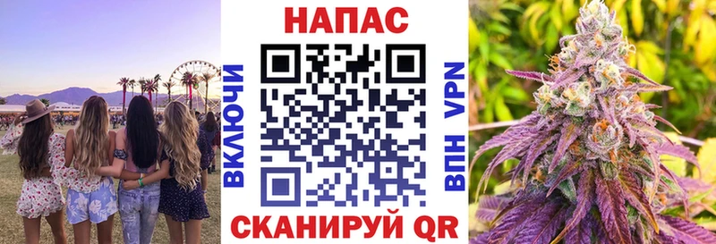 Бошки марихуана SATIVA & INDICA  закладка  Стародуб 